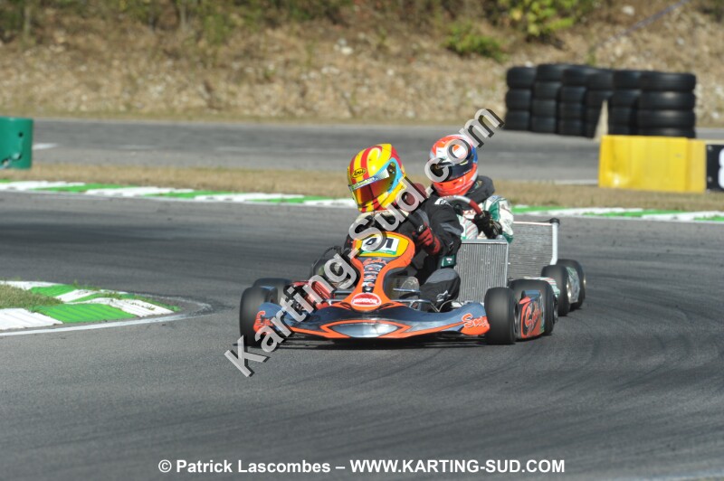 DSC_ (1137).JPG